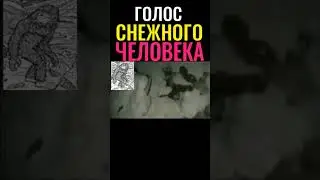 ГОЛОС СНЕЖНОГО ЧЕЛОВЕКА #познавательное #shorts #снежныйчеловек#бигфут#алмасты
