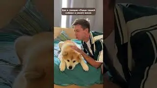 А у вас как?😂🐶 