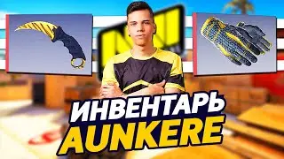 СКОЛЬКО СТОИТ ИНВЕНТАРЬ AUNKERE В CS:GO - НЕВЕРОЯТНЫЙ ИНВЕНТАРЬ АУНКЕРА С ДОРОГИМИ СКИНАМИ В КС ГО