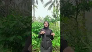 Cewek jilbob sexy hot 