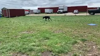 A drop by spur of the moment visit!! Gunner