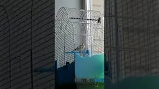 7 апреля 2021 г.