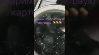 Картофель. 