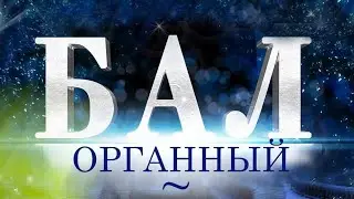 Как прошёл ОРГАННЫЙ БАЛ в Белгороде: знакомим школьников с танцевальными жанрами!