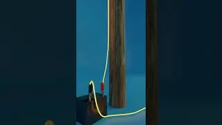 Revealing the Difference Between Series and Parallel Wiring