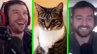 The WORST Animals to Keep as Pets | PKA