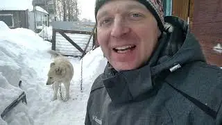 Сбежала собака Дом в деревне Собака на цепи Вольер Вольер своими руками