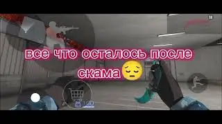 6 августа 2024 г.