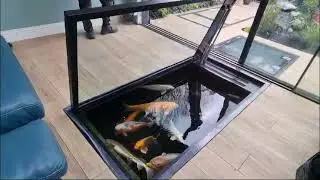 Custom Fish Feeding Hatch- Electric Motorised Glass Floor Door