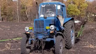 Инжавинский район может стать поставщиком экологически чистых яблок в Тамбовской области
