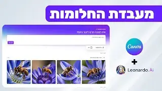 הכירו את 