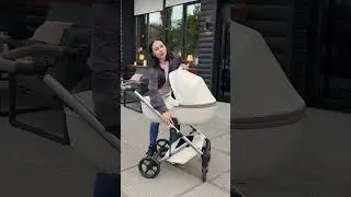 Універсальна коляска 2в1 ANEX Eli