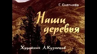 Диафильм Г.Снегирев - Наши деревья