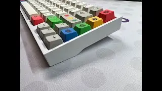 Haven 65 & Retro Light Switches