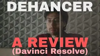 Dehancer: A wildlife photographer's review of a film emulation plugin (Davinci Resolve)