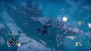Mad Max Is Hit By A Bird