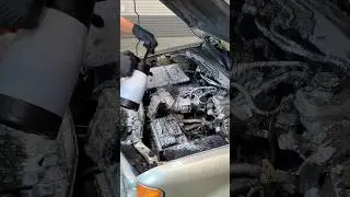 Dirty Engine Bay Transformation!