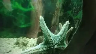 Океанариум в Yiwu. China Oceanarium. Куда пойти с детьми. Достопримечательности города Иу в Китае.