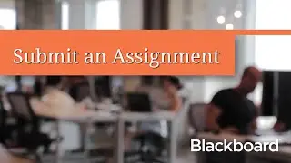 Submit an Assignment (Student)