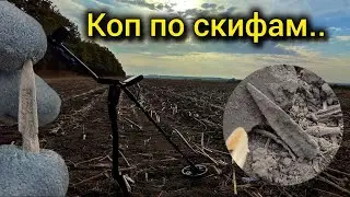 Коп по Скифам! Мой первый выезд, первые наконечники!!!
