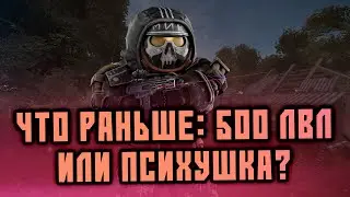 МИНЬОН НА СВЯЗИ. ИГРАЕМ В КАЙФ • stalcraft stream