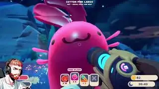 SO CUTE AND SLIMY - Slime Rancher 2 (2)