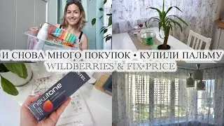 ПОКУПКИ С WILDBERRIES🛍 ЗАКУПКА ФИКС ПРАЙС💰 НОВЫЕ ШТОРЫ🪟 ЮККА ШТАМП🪴