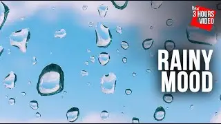 Relaxing Music With Rain Sounds To Calm, Meditate, Yoga, Sleep and Study | Rainy Mood