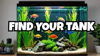 The Best 20 Gallon Fish Tanks (and Why They’re Worth It)