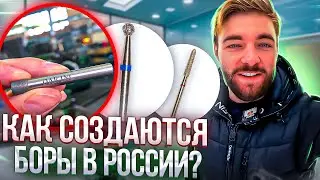 КАК СОЗДАЮТСЯ БОРЫ В РОССИИ?