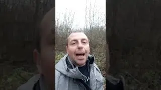 11 ноября Анастасия Овечница и Аврамий Овчар