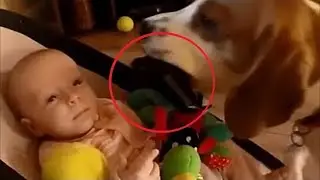 The dog stole a child's toy, but look what happened at that very second!