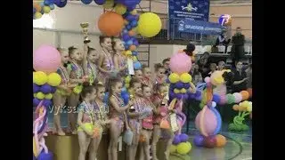 В Выксе прошли Региональные соревнования по художественной гимнастике.