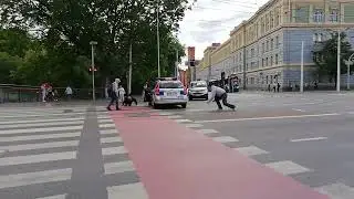 Spacer kaczek przez plac Orląt Lwowskich we Wrocławiu