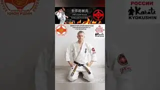 Приглашаем к сотрудничеству (Бранч) в России, World So-Kyokushin #каратэ #киокушин #kyokushin