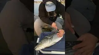 “Fishing is cruel” 