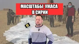 В Сирии разворачивается кровавая трагедия