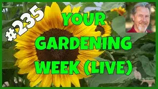 The Basics of Seed Starting (Q&A)