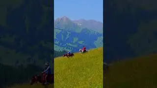 Orta Merki🏔️🇰🇿 #mountains #horses #kazakhstan #nature #travel #beautiful #animals