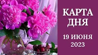 19 июня🌷Карта дня. Развернутый Таро-Гороскоп/Tarot Horoscope+Lenormand today от Ирины Захарченко.