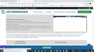 Ветменеджер: отчеты в программе