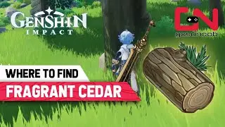 Fragrant Cedar Wood Locations - Genshin Impact Furnishing Materials