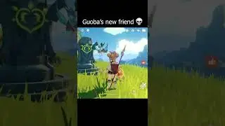 Guoba's new friend Genshin Impact 