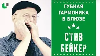 Губная гармоника в блюзе | Стив Бейкер