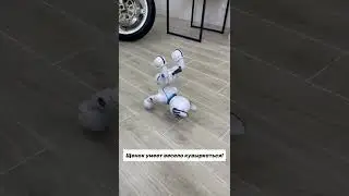 Собака робот Leidy Dog А001
