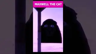 Maxwell The Cat Dancing Song 🐈Angry munci 