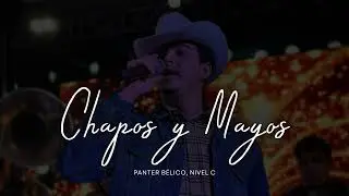 Chapos y Mayos -  Panter Bélico, Nivel C