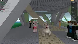 робукс Стая блох