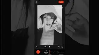 👀Can I use this to get your attention?🌟 ｜