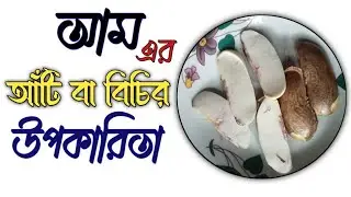 আমের বিচির উপকারিতা | Health benefits of mango | আমের আঁটির ঔষধি গুনাগুন | আমের আঁটি সারাবে যেসব রোগ